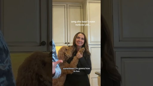 I can’t believe my dog started singing… #singer #singing #livemusic #cover #mileycyrus