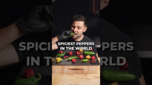 I Tasted the Spiciest Peppers in the World