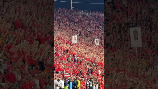 We ❤️ The Muss