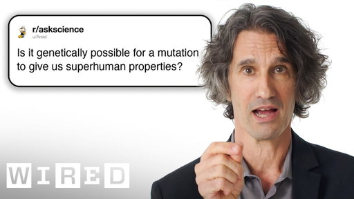 Anthropologist Answers Evolution Questions