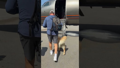 Peter saw an opening… hopped right to the front. Veteran move 😂Headed to Buffalo for TNF