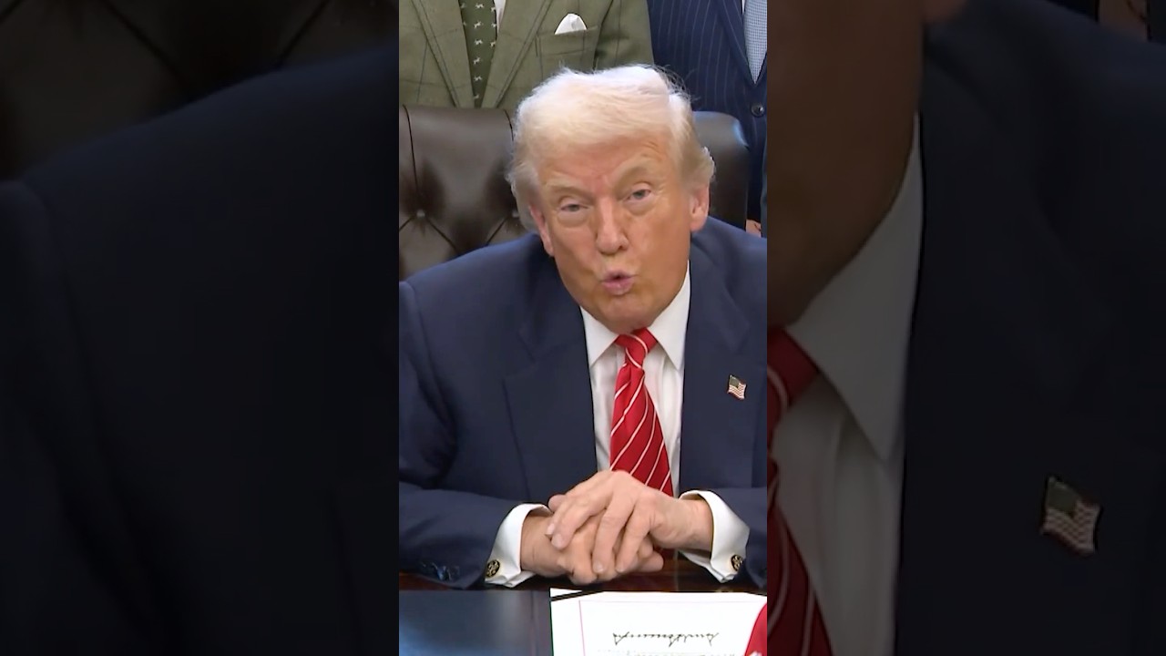 Trump Says Epstein Files Are a Democrat Problem