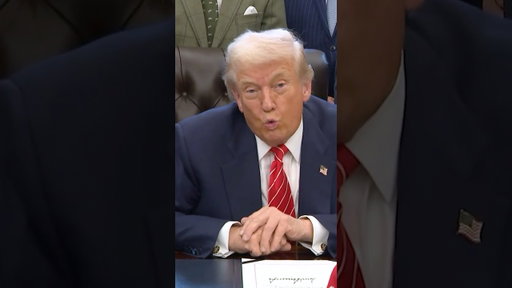 Trump Says Epstein Files Are a Democrat Problem