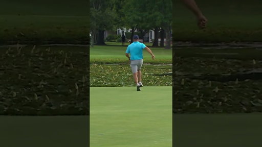 This had to be a ProV1