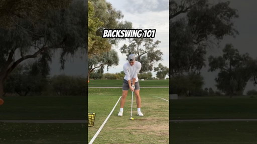 BACKSWING 101