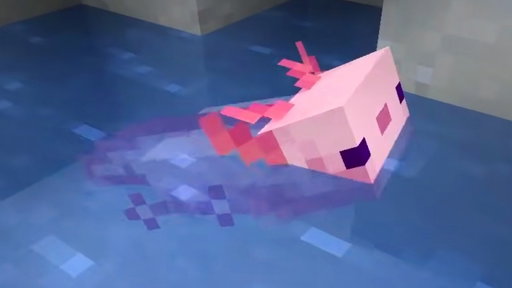 AXOLOTL