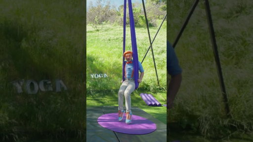 Blippi's Spectacular Silk