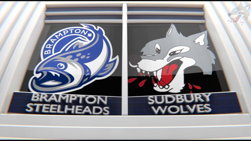 Game 67 Highlights: Brampton Steelheads vs Sudbury Wolves