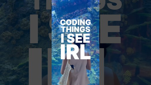 Coding things I see in real life. Jellyfish 🪼