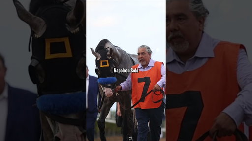 The Preakness Stakes Field! #HorseRacing