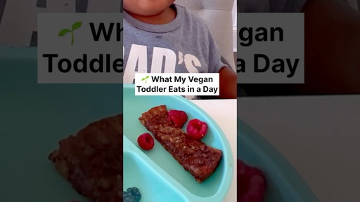 What My Vegan Toddler Eats in a Day (17 Months Old) 🌱 Episode 15