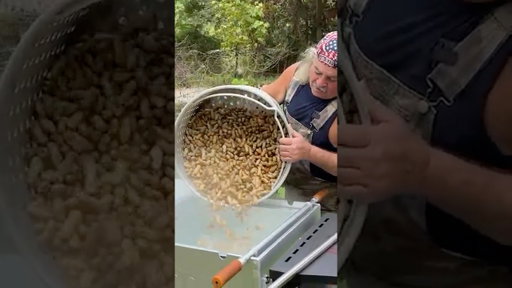 Boiled PEANUTS!