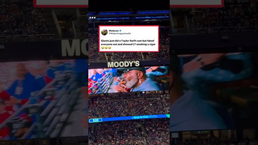Fake Taylor Swift cam at Giants game 🤣