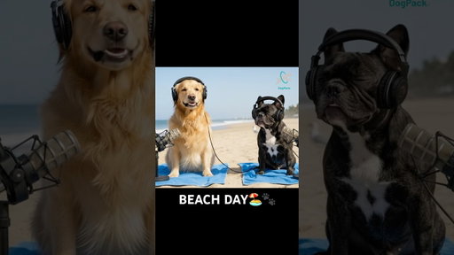 Why Dogs Love The Beach