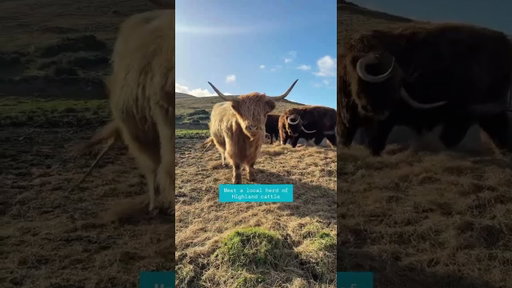 4 must-do activities near Edinburgh  🐮🚆🏄🌄 | Visit Scotland