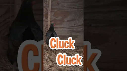 Sing Along With Farmer Blippi! #oldmacdonald #blippi #farm