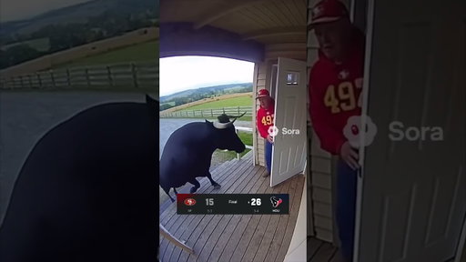 the bull got out 😤