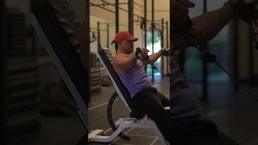 Tax Deductible Push Workout (chest, delt, tri, bi)