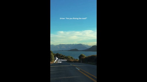 Roadtrips are required in Aotearoa New Zealand