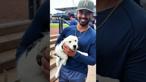 But it’s really just baseball players playing with a puppy