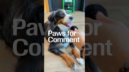 Paws for Comment