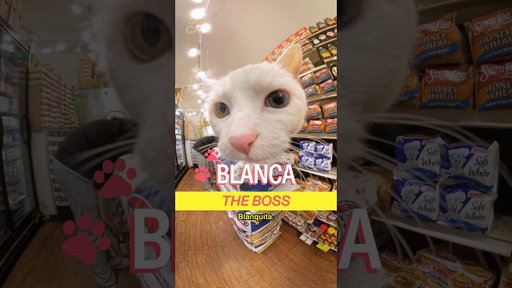 Meet Blanca in East Williamsburg