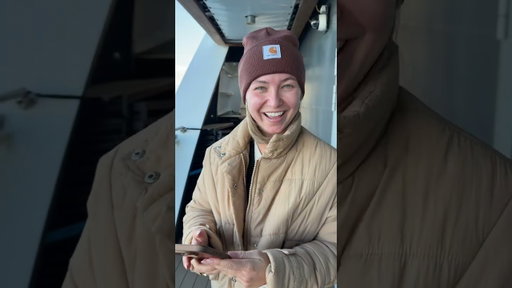 Antarctica *without* trending audio