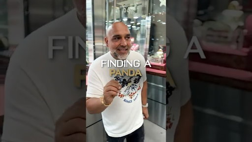 Buying Panda On 47th Street