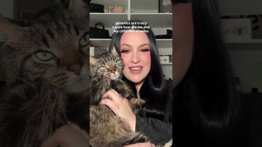 I love cat