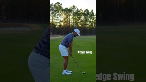 +6 HCP Wedge - Driver Swings #golf #golfskill #golfswing