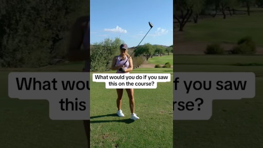 It would become my pet #golf