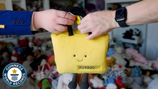Largest Collection of Jellycats! | Guinness World Records