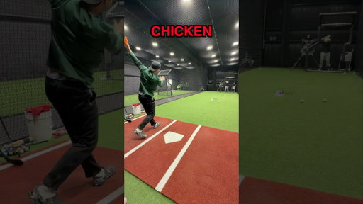 The Best Bat Material Revealed!!!