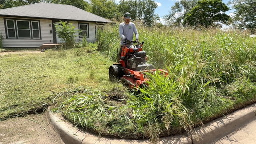 Neighbors STOP to take PICTURES of the grass TOWERING over this mysterious house