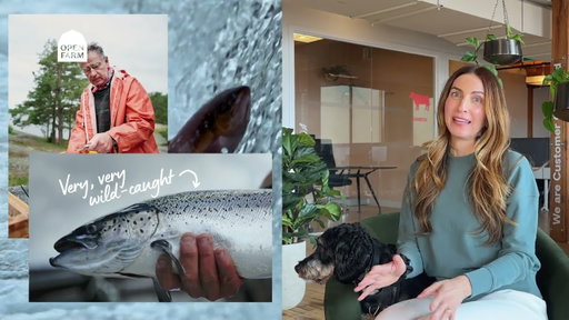 Open Farm Founder Story