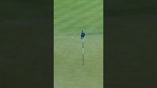 Are you making birdie from here? 🤔