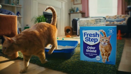 Is it crazy to play cat soccer? Or is it love?