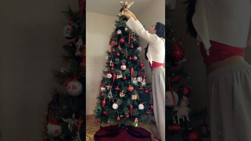 It’s November 1st! Time to put up the Christmas tree🎄#christmastree #christmasdecorating #xmas2025