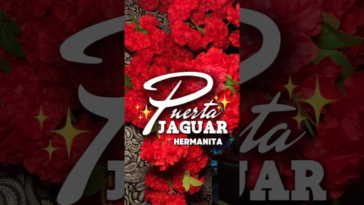 PUERTO JAGUAR at HERMANITA #charlottenc #discoverclt #foodie