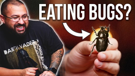 Eating BUGS from Amazon