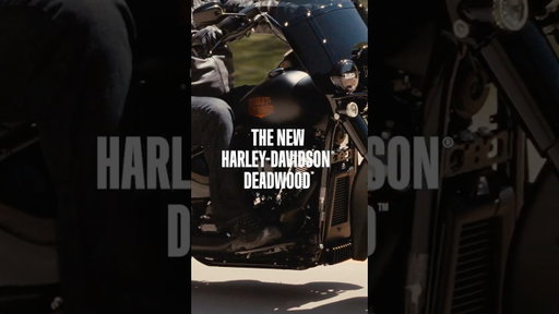 2026 Harley-Davidson Deadwood | The New Black Sheep of the Black Hills #Shorts