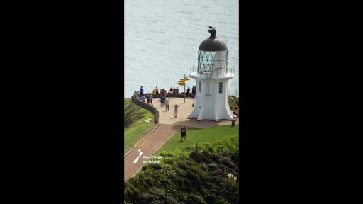 Our island nation of Aotearoa New Zealand loves its lighthouses. 💡