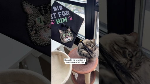 Matching Grad Caps With My Cat