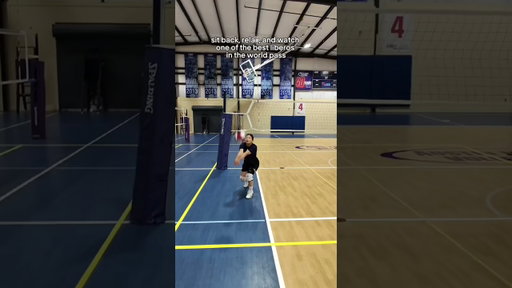 The BEST kind of ASMR🫡 #lovb #volleyball