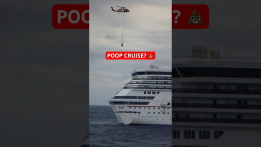 The cruise ship incident that changed everything… 😳🚢