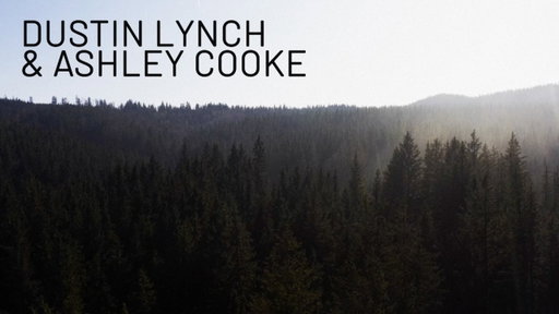 Dustin Lynch and Ashley Cooke - How You Been (Official Lyric Video)