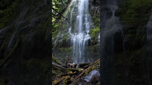 hiking at proxy falls ♥️