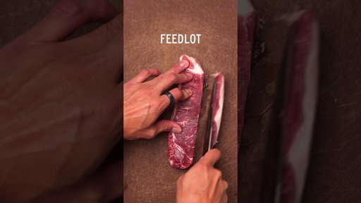 ANNUAL BEEF DRAFT
