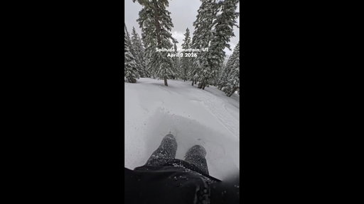 Spring Powder Day at Solitude Mountain 🏔️