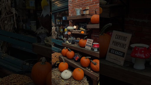 Less than 100 days until October 🍁🎃 #october #fallseason #fallvibes #halloween #halloweenvibes